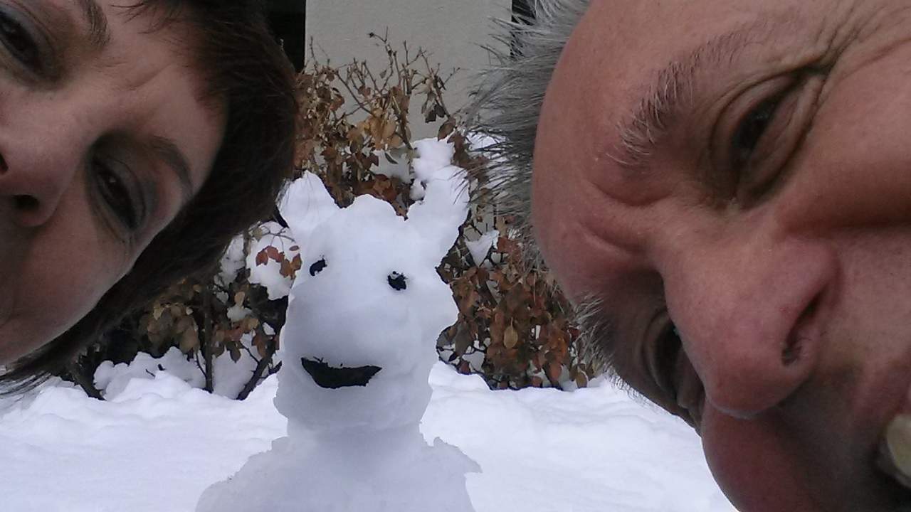 Woodlands - Wishing on a Snow Bunny