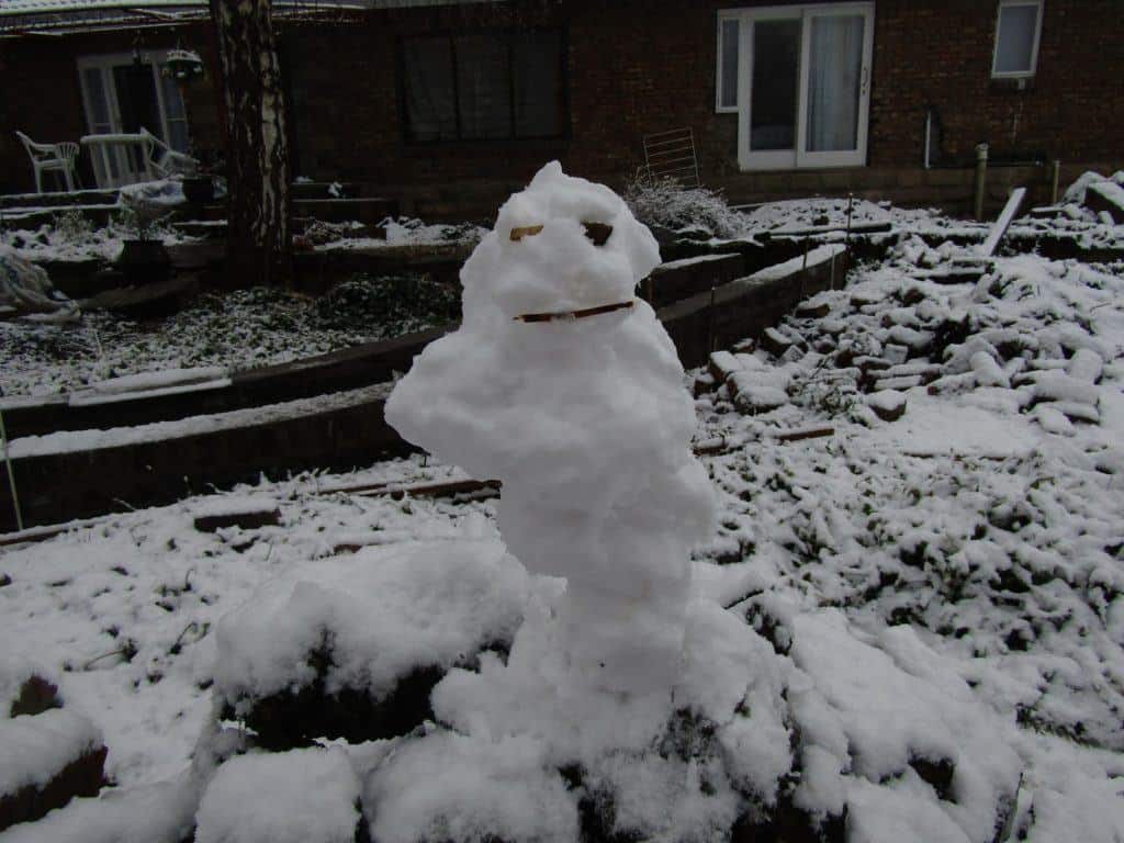 Woodlands Retreat Snow Art -30